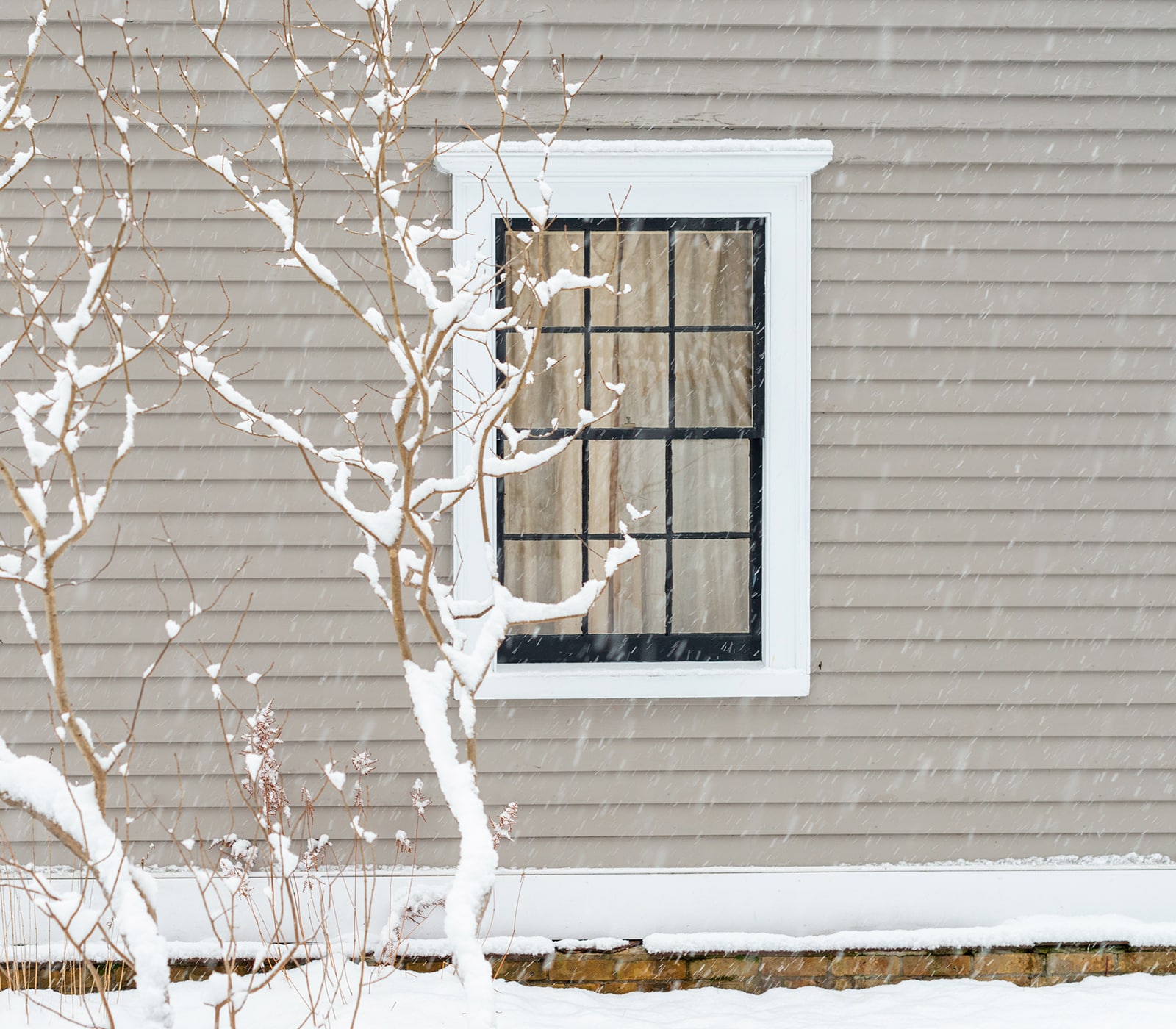 Picture Window Frame Winter